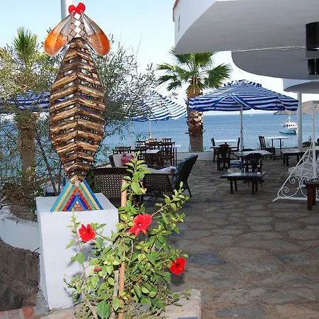 호텔 Portofino *